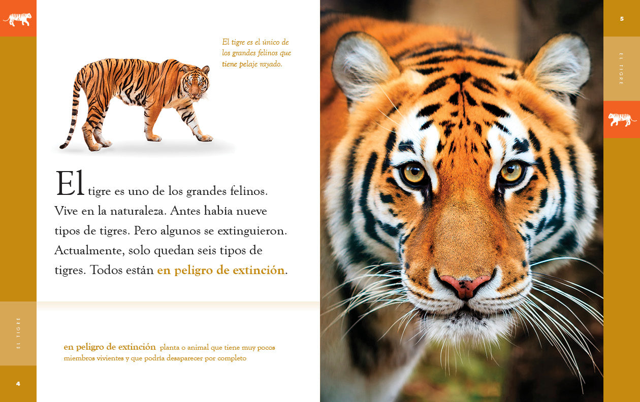 Planeta animal - New Edition: El tigre by The Creative Company Shop