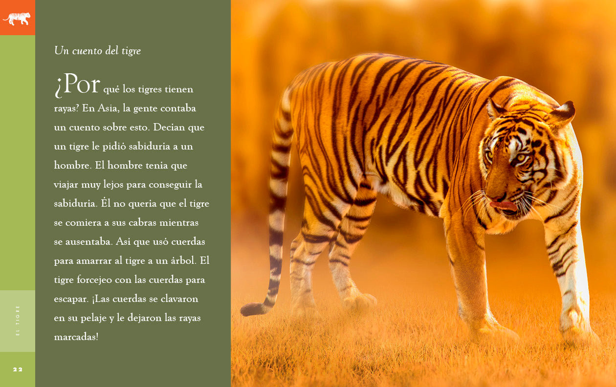 Planeta animal - New Edition: El tigre by The Creative Company Shop