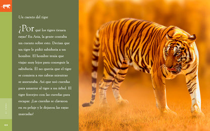 Planeta animal - New Edition: El tigre by The Creative Company Shop