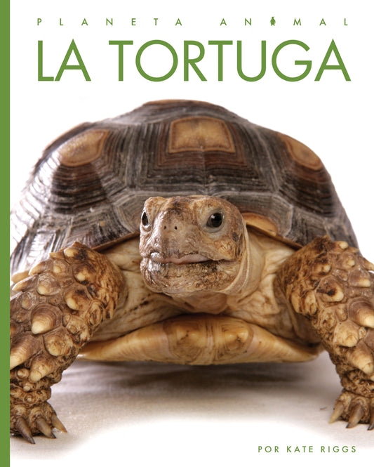 Planeta animal - New Edition: La tortuga by The Creative Company Shop