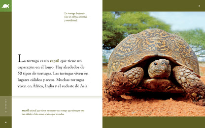 Planeta animal - New Edition: La tortuga by The Creative Company Shop