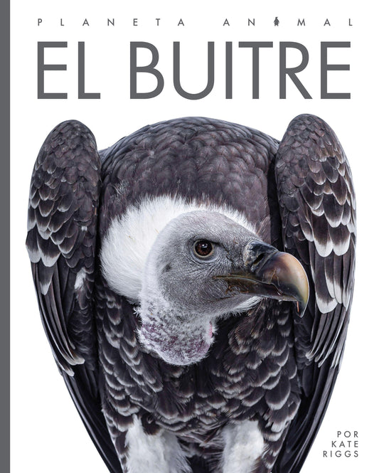 Planeta animal - New Edition: El buitre by The Creative Company Shop