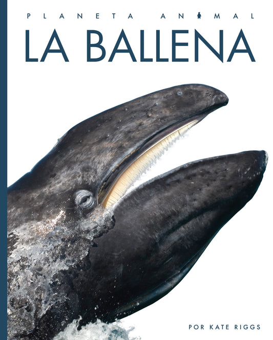 Planeta animal - New Edition: La ballena by The Creative Company Shop