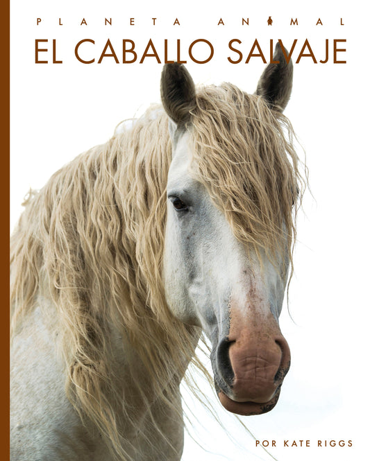 Planeta animal (2022): El caballo salvaje by The Creative Company Shop