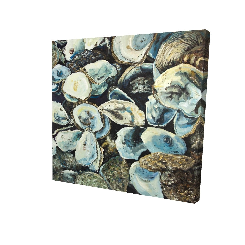 Oyster shells - 16x16 Print on canvas