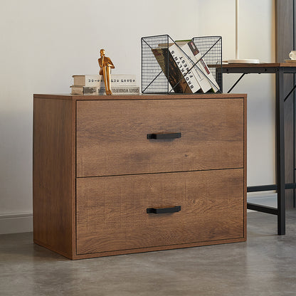 FILE BOOKCASE CABINET WITH 2 DRAWER