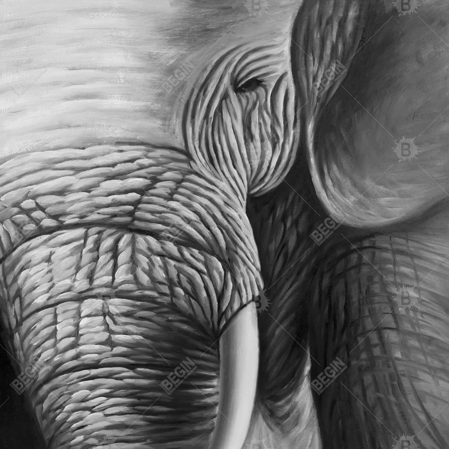 Elephant - 16x16 Print on canvas