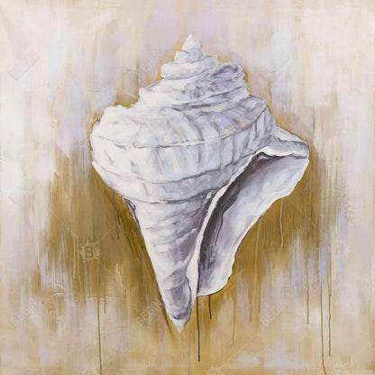 Conical shell - 16x16 Print on canvas