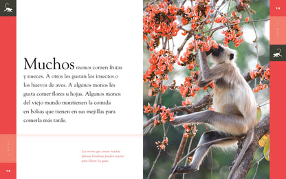 Planeta animal - New Edition: El mono by The Creative Company Shop