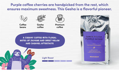 Santa Felisa Gesha Honey Coffee by Bean & Bean Coffee Roasters