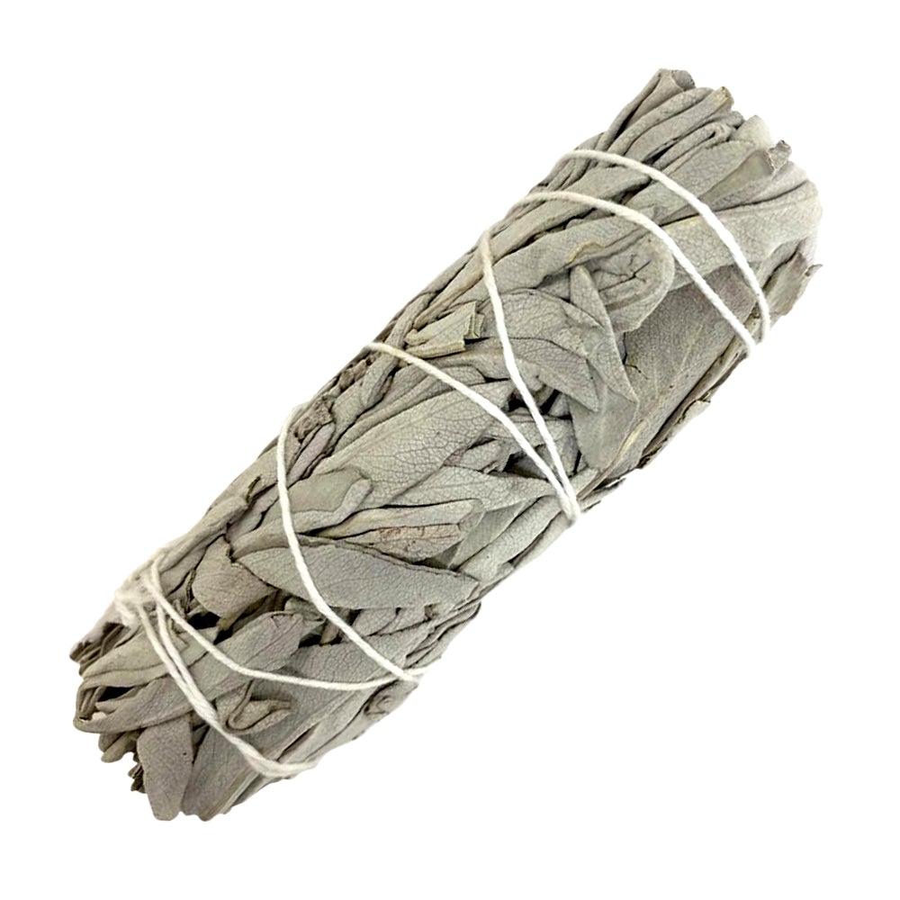 White Sage Smudge - Bundle 6" by OMSutra