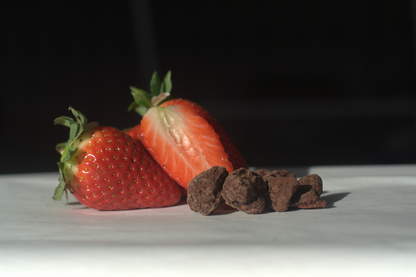 Organic Chocolate covered Strawberry - Pack of 2 by The Rotten Fruit Box