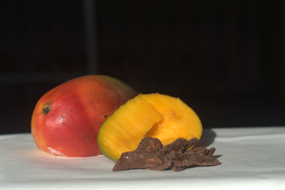 Organic Chocolate covered Mango - Pack of 2 by The Rotten Fruit Box