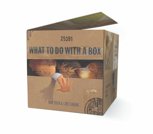 What to Do with a Box (Board) by The Creative Company Shop