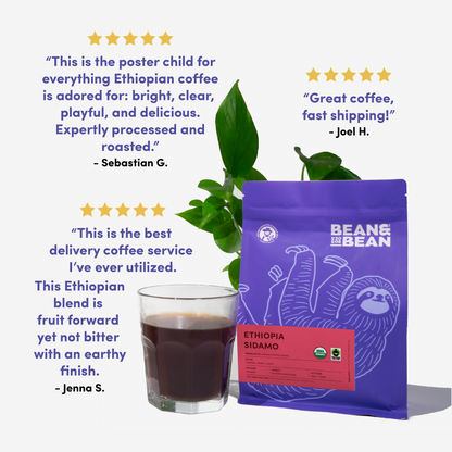 Ethiopia Sidamo by Bean & Bean Coffee Roasters