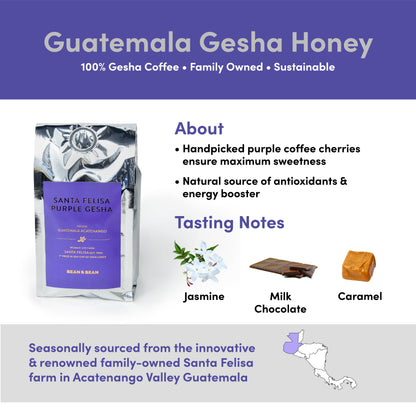 Santa Felisa Gesha Honey Coffee by Bean & Bean Coffee Roasters