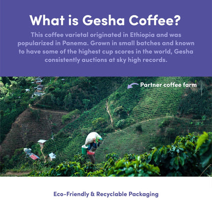 Santa Felisa Gesha Honey Coffee by Bean & Bean Coffee Roasters