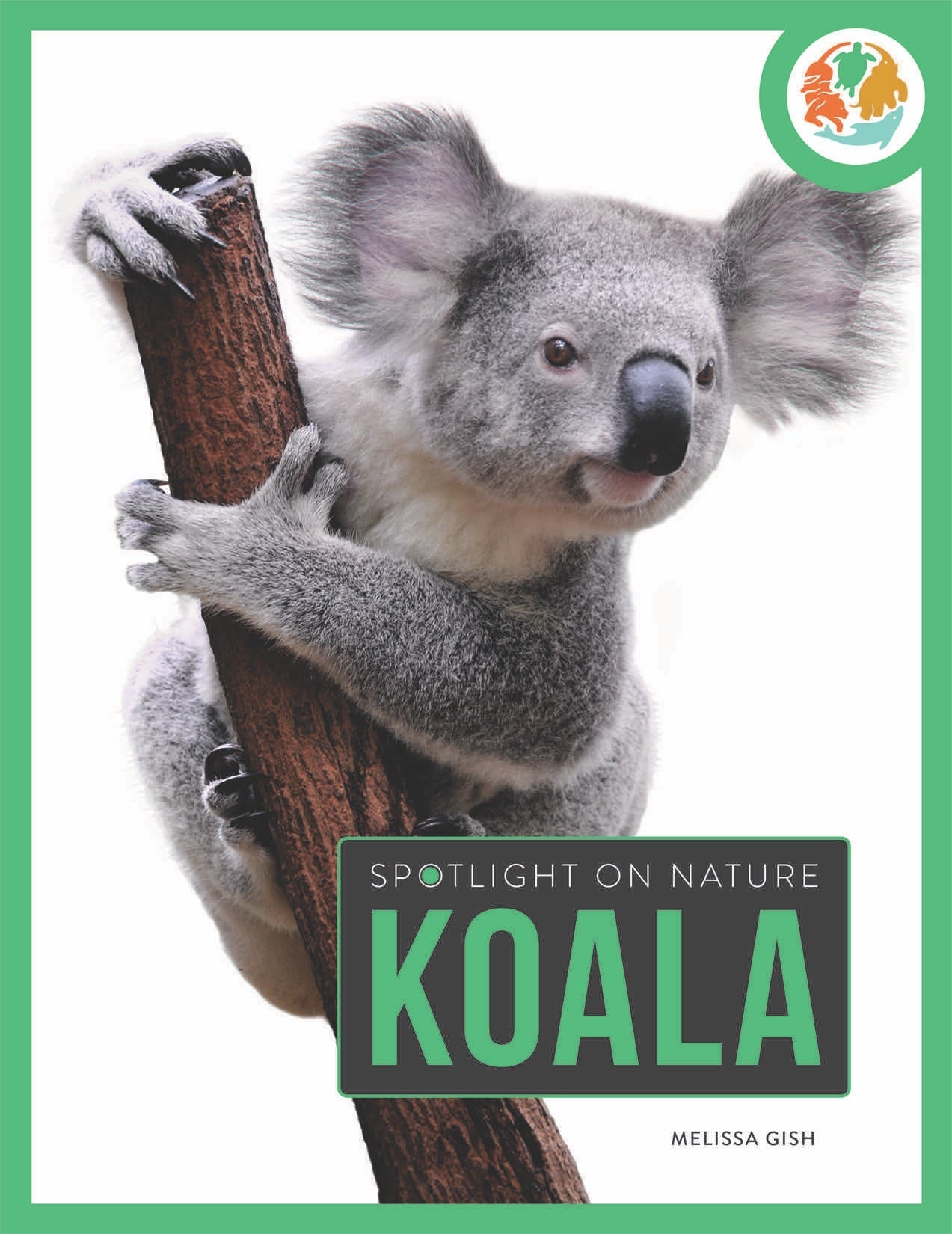 Spotlight on Nature: Koala by The Creative Company Shop