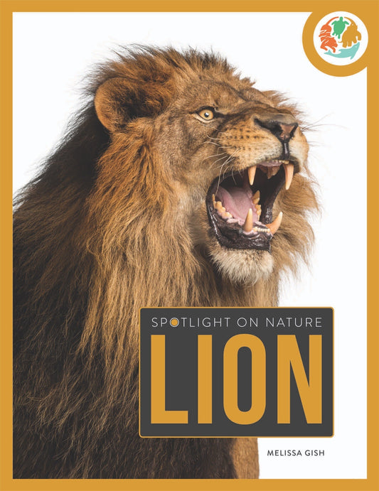 Spotlight on Nature: Lion by The Creative Company Shop