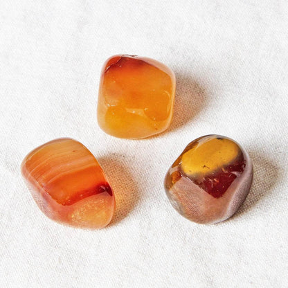 Carnelian Stone Set by Tiny Rituals