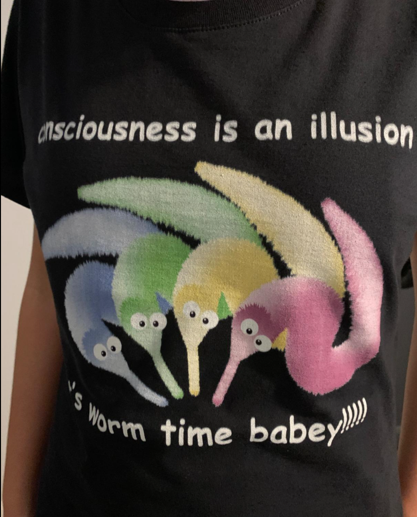"Consciousness Is An Illusion" Tee by White Market