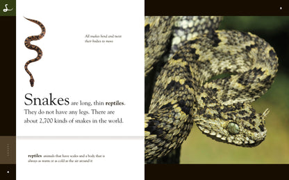 Amazing Animals - Classic Edition: Snakes by The Creative Company Shop