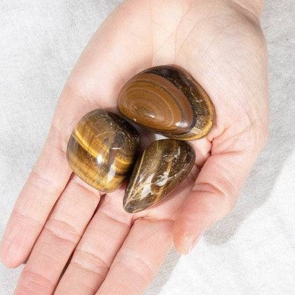 Tiger Eye Stone Set by Tiny Rituals