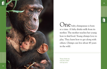 Amazing Animals - Classic Edition: Chimpanzees by The Creative Company Shop