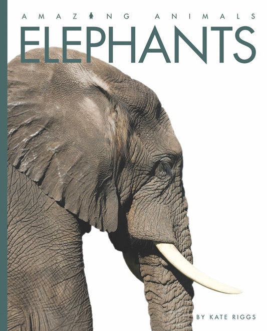 Amazing Animals - Classic Edition: Elephants by The Creative Company Shop