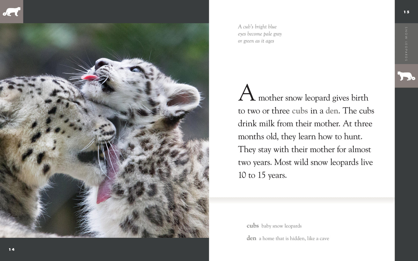 Amazing Animals - Classic Edition: Snow Leopards by The Creative Company Shop