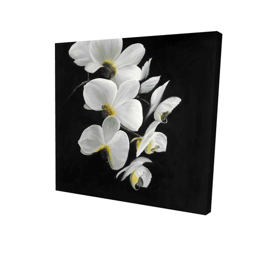 Beautiful orchids - 12x12 Print on canvas