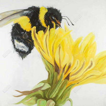 Little bumblebee on a dandelion - 08x08 Print on canvas