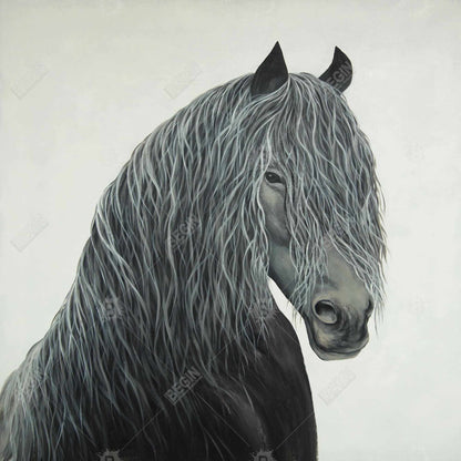 Wild heart horse - 16x16 Print on canvas