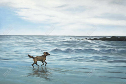 Dog on the beach - 12x18 Print on canvas