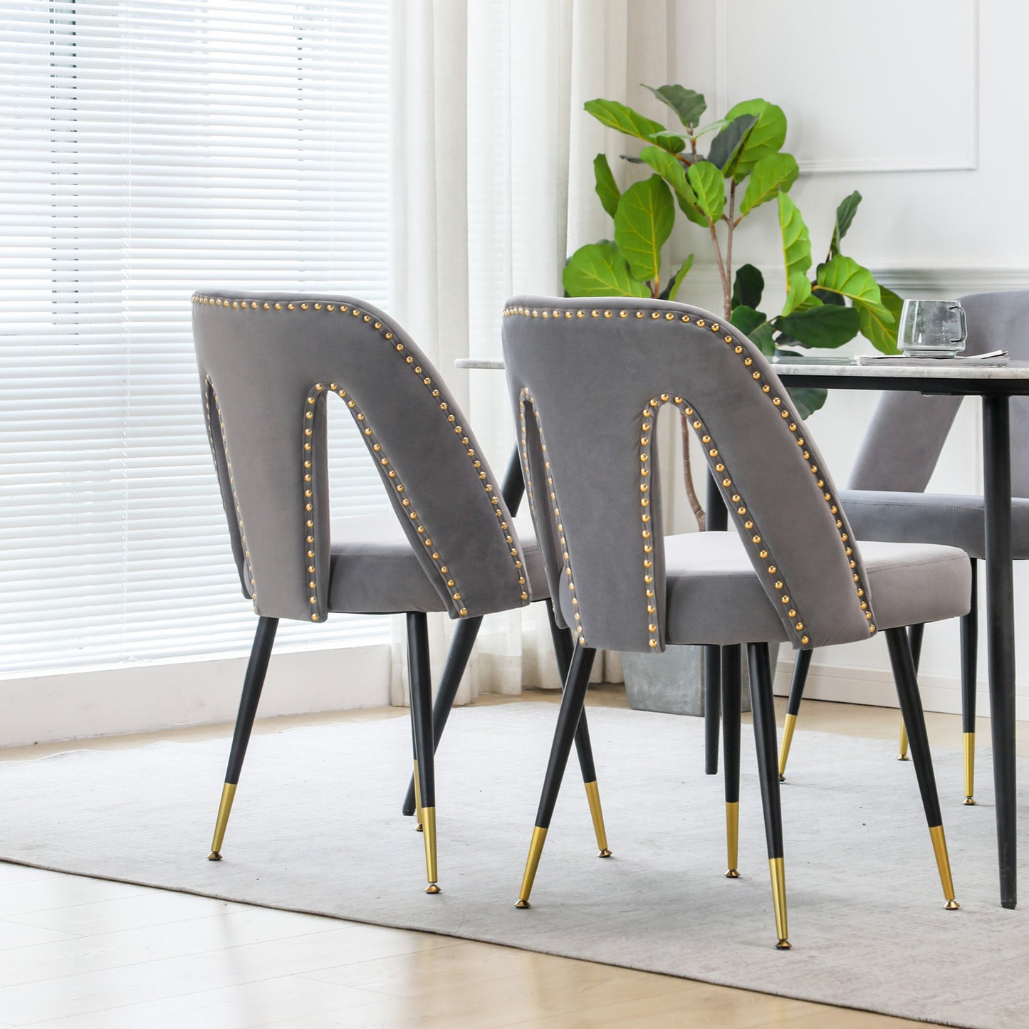 A&A Furniture,Akoya Collection Modern | Contemporary Velvet Upholstered Dining Chair with Nailheads and Gold Tipped Black Metal Legs, Gray，Set of 2