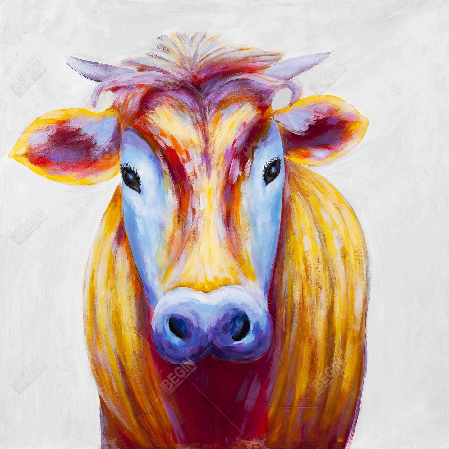 Colorful country cow - 12x12 Print on canvas