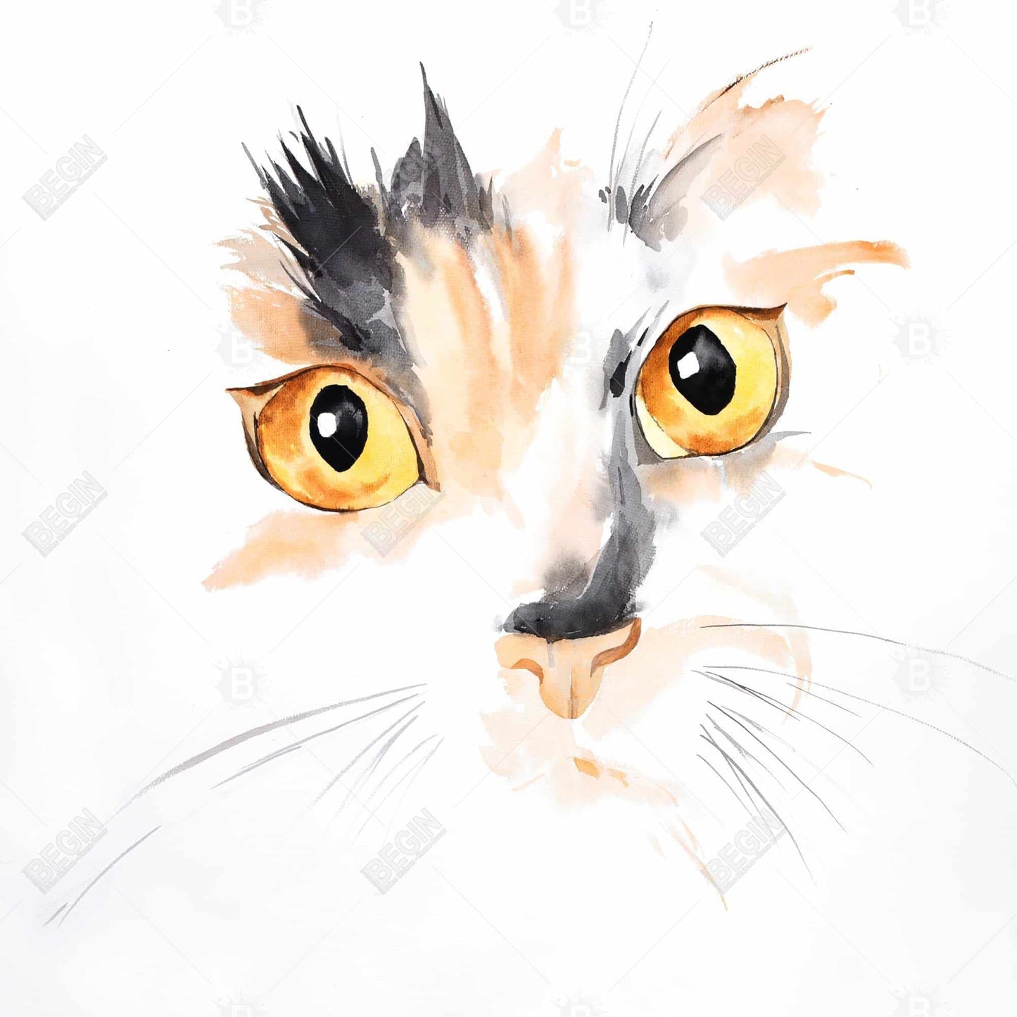 Watercolor cat face closeup - 32x32 Print on canvas