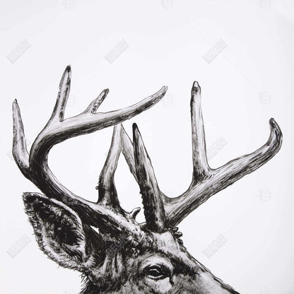 Roe deer plume - 08x08 Print on canvas