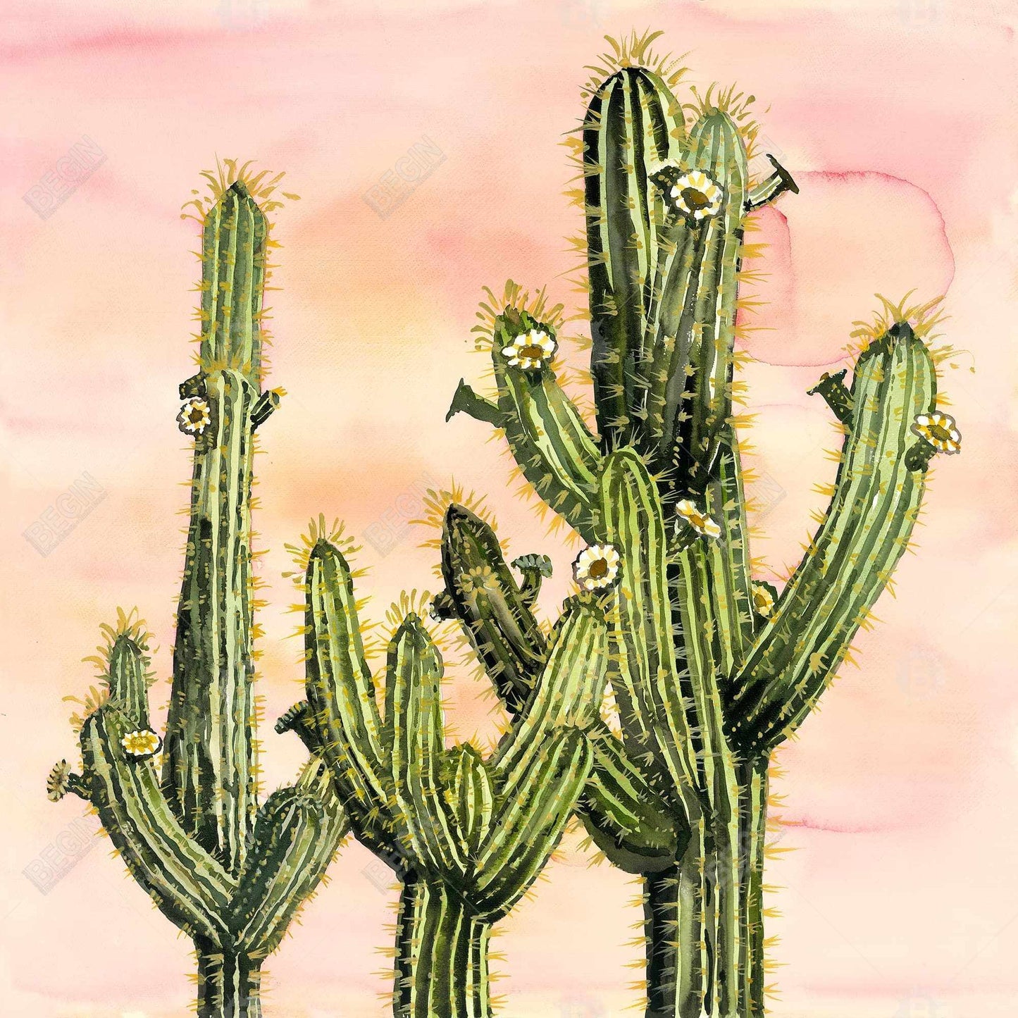 Weberocereus cactus - 08x08 Print on canvas