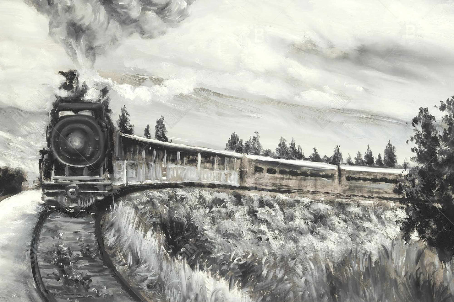 Steam engine train - 20x30 Print on canvas