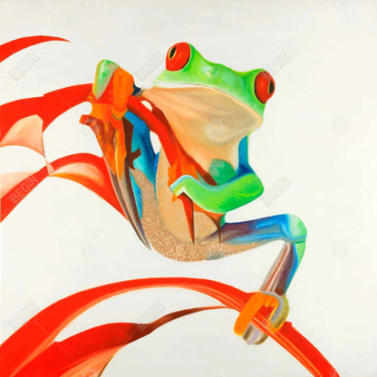 Red-eyed frog - 32x32 Print on canvas