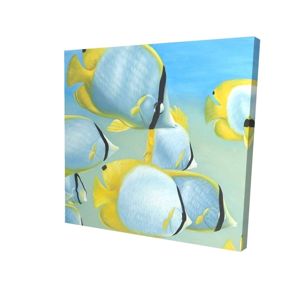 Butterfly fishes - 32x32 Print on canvas