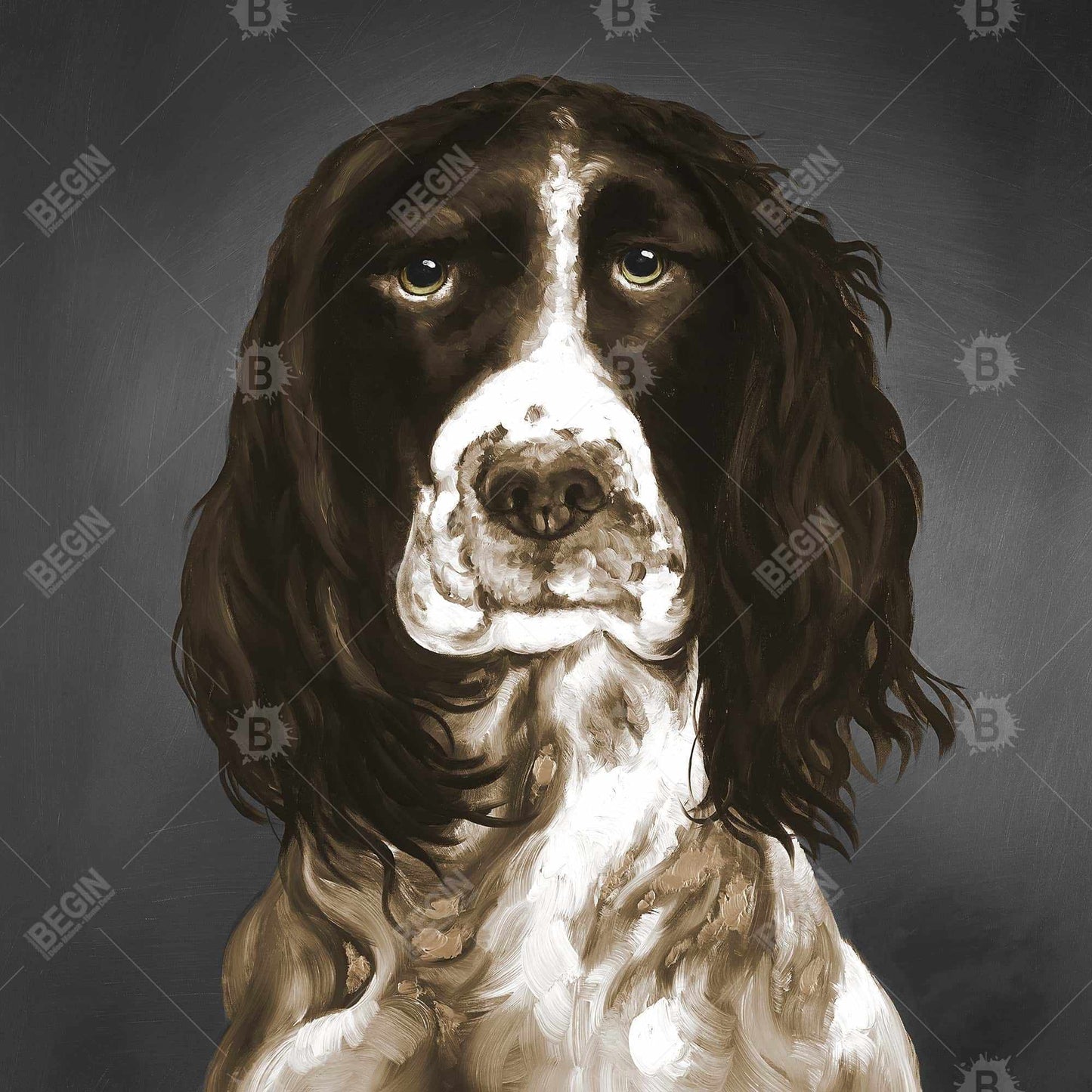 Brown english springer spaniel - 08x08 Print on canvas