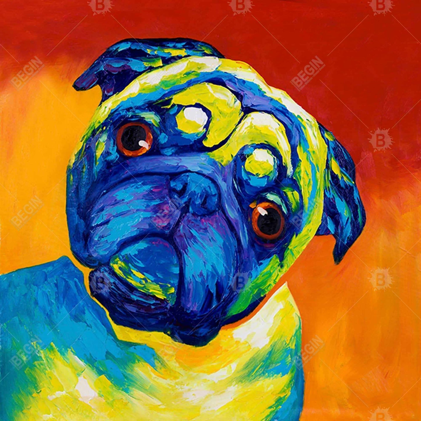 Curious pug - 16x16 Print on canvas