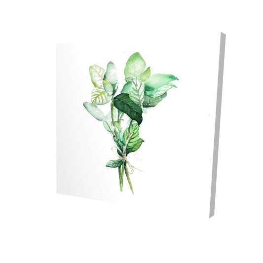 Tied up basil leaves bundle - 12x12 Print on canvas