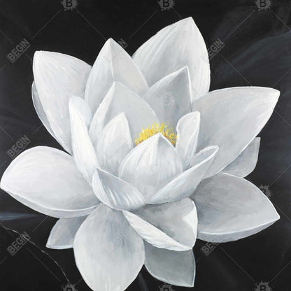 Overhead view of a lotus flower - 08x08 Print on canvas