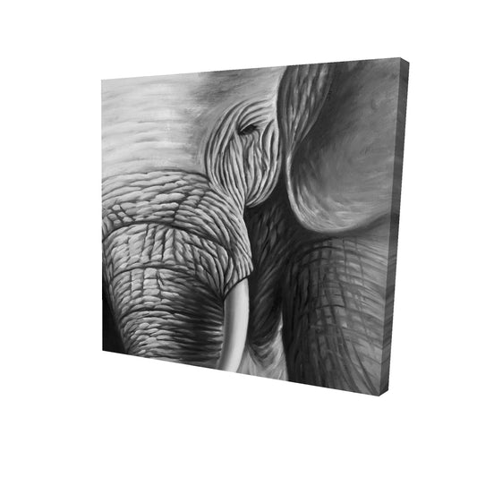 Elephant - 16x16 Print on canvas