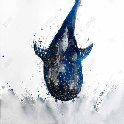 Shark whale - 12x12 Print on canvas