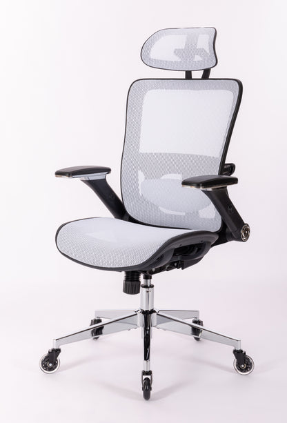 Ergonomic Mesh Office Chair - Rolling Home Desk Chair with 4D Adjustable Flip Armrests,  Adjustable Lumbar Support and Blade Wheels(WHITE MESH)