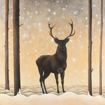 Roe deer in winter - 08x08 Print on canvas